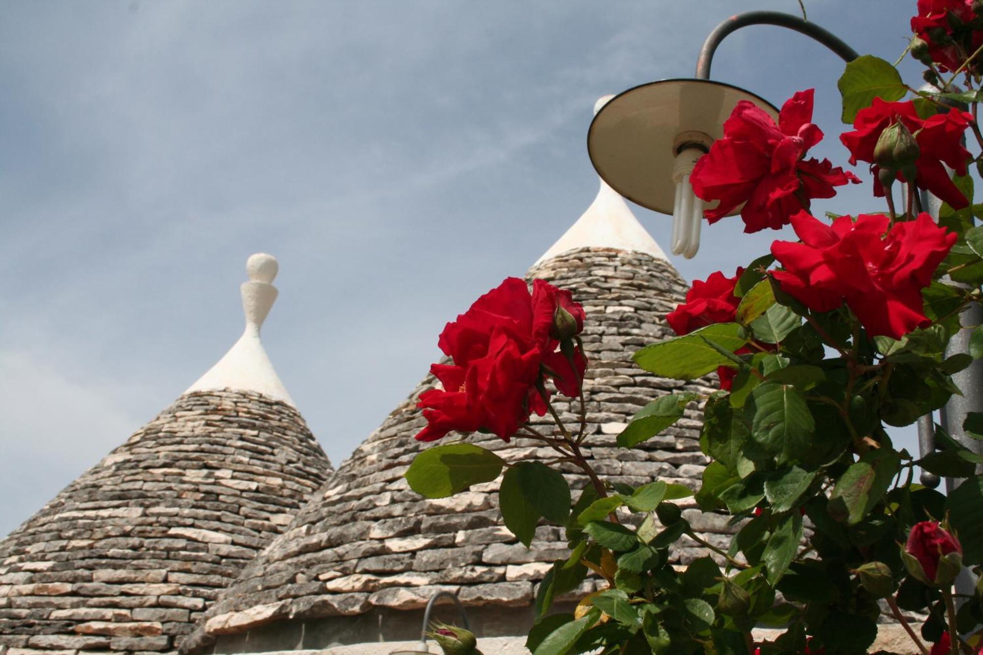 Vacanza In Puglia Alberobello Buitenkant foto